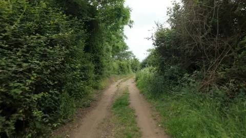 Castor Hanglands, walking through a small woodland toward a meadow 库存影片 336242371