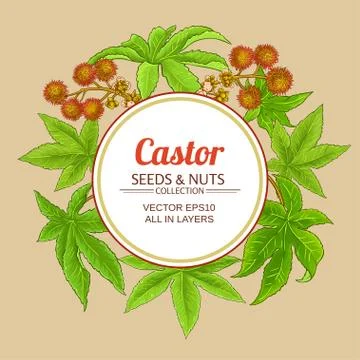 Castor vector frame Stock Illustration