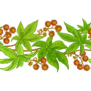 Castor vector pattern Stock Illustration