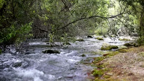 Castril river stream falling through the rocks in Cerrada del Rio Castril, Spain Stockbeeldmateriaal 138082203