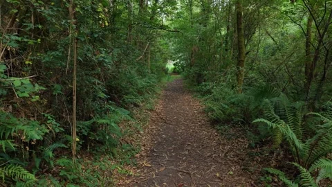 Castro River Mountain Hiking Trail - San Sadurniño - A Coruña - Galicia - Spain Stock Footage 342471326