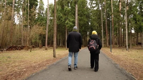 Casual walk through a pine forest in early spring with overcast skies, wher.. Stock Footage 309987610