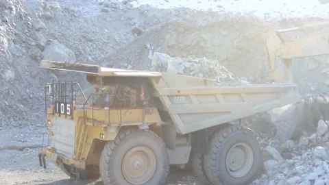 Cat 11 Stock Footage 122212694