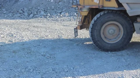 Cat 12 Stock Footage 122212690