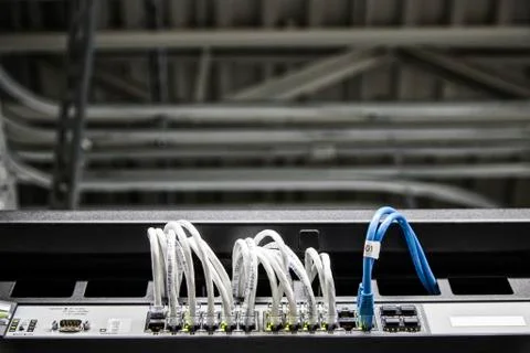 Cat 5 cables hooked to servers in a computer server farm. Stockfoto's