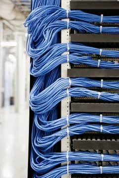 Cat 5 cables hooked to servers in a computer server farm. Stock Photos