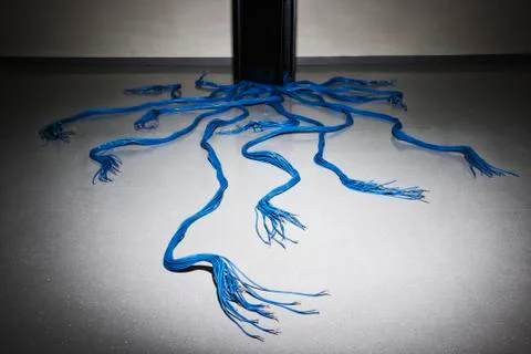 CAT 5 cables leading from a rack holding severs in a computer server farm. Stockfoto's