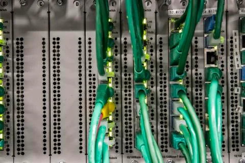 Cat 5 cables plugged into an individual server in a computer server farm. Stock Photos