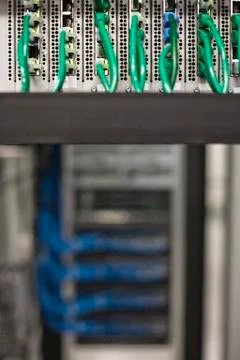 Cat 5 cables plugged into an individual server in a computer server farm. Stock Photos