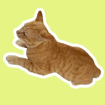 Cat in all pose Stock Photos