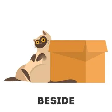 Cat and box. Learning preposition concept. Animal behind Stock Illustration