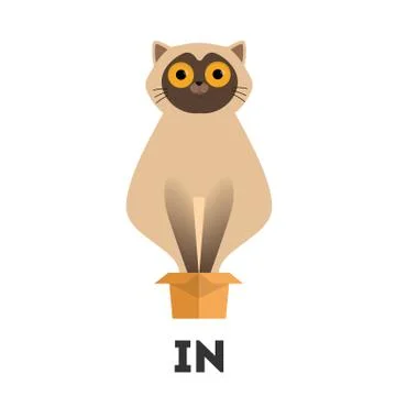 Cat and box. Learning preposition concept. Animal in box Stock Illustration