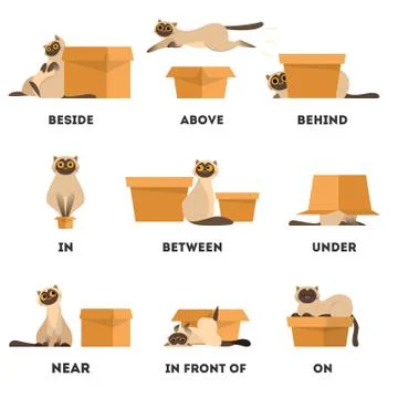 Cat and box set. Learning preposition concept. Animal above Stock Illustration
