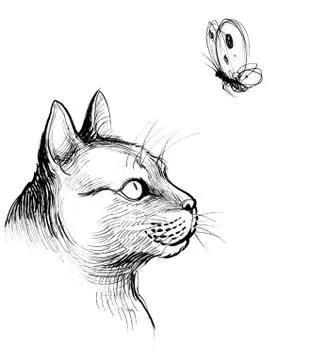Cat and butterfly Stock Illustration