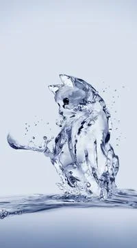 Cat and Fish Stock Illustration