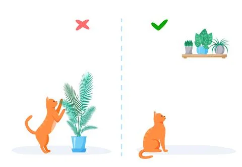 Cat and home plants. Wrong and right ways to keep plants at home with pet Stock Illustration