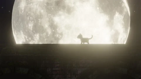 Cat and Moon Background Stock Footage 276759343