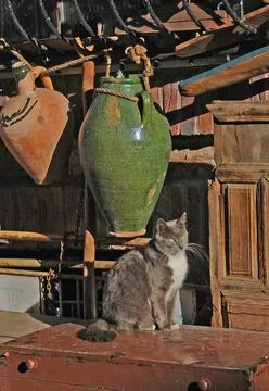 Cat and pithoi Stock Photos