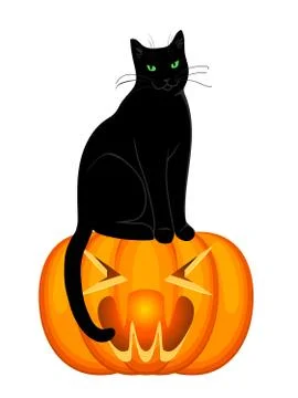 Cat and pumpkin Stock Illustration