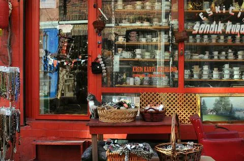 Cat and Store Window Foto stock