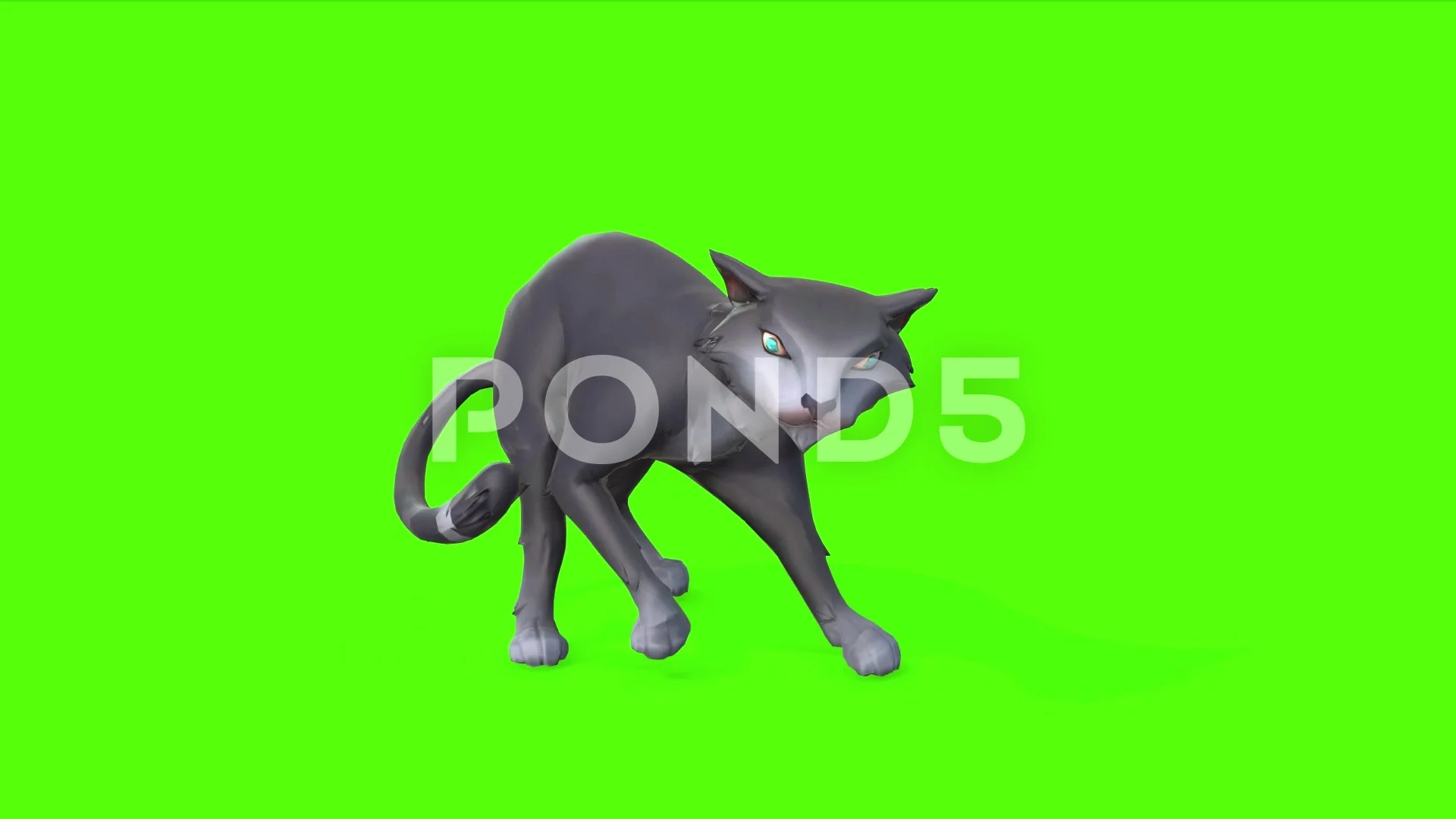 Angry Cat (Green Screen) – CreatorSet