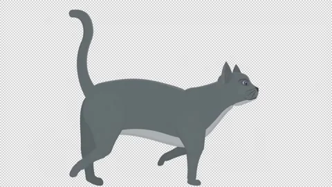 Cat. Animation of a cat's pet. Cartoon | Stock Video | Pond5