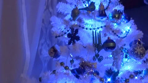 Cat around the Christmas tree Stock Footage 82595162