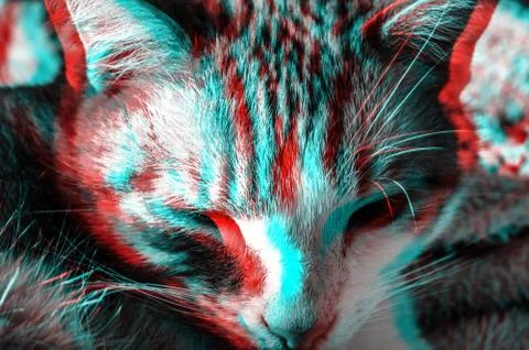 CAT ART Stock Photos