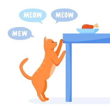 Cat asks for food from table and meows a lot. Pet bags for food. Cat steals from Stock Illustration