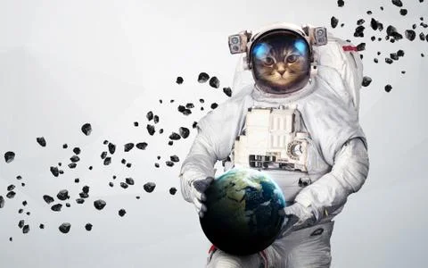 Cat Astronaut in outer space Stock Photos