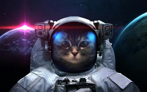 Cat astronaut in space Stock Photos