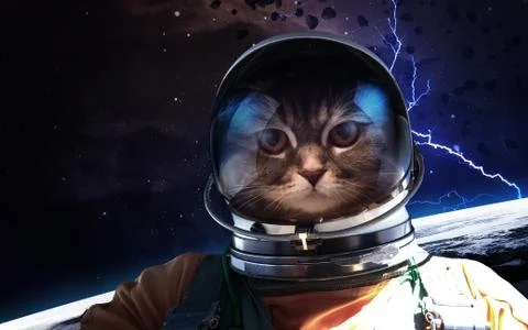 Cat astronaut in space Stock Photos