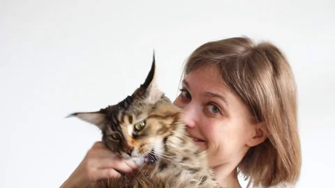 Cat attacking woman Stock Footage 105529642