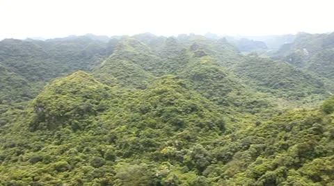 Cat Ba National Park Stock Footage