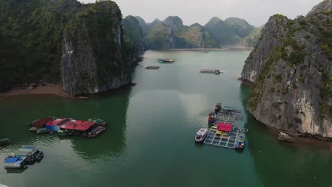 Cat Ba Vietnam floating platforms near rocky shoreline and limestone cliffs Stock Footage 332965513