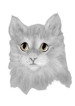 Cat baby cute Stock Illustration