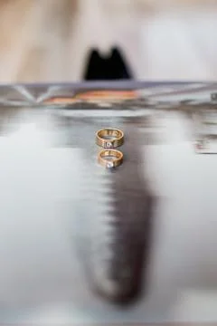 Cat on a background Stock Photos