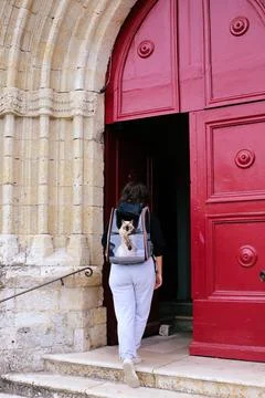 Cat backpack Stock Photos