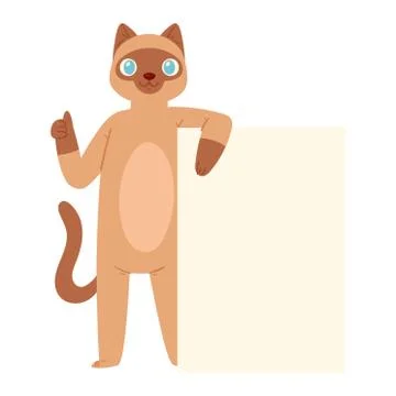 Cat banner vector kitten character peeking behind cardboard kitty holding copy Stock Illustration
