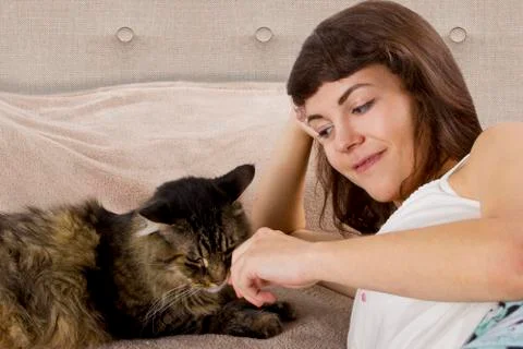 Cat on a Bed Stock Photos