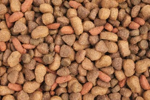 Cat biscuits or kibbles Stock Photos