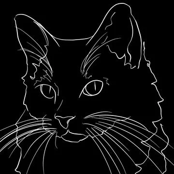 A cat on a black background Stock Illustration