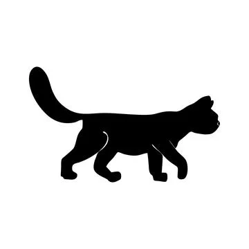 Cat is black Stock Illustration