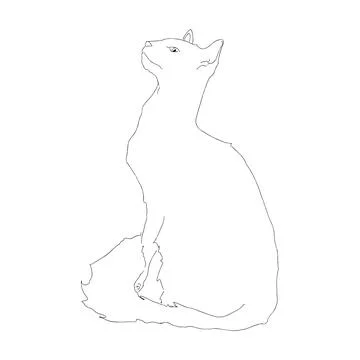 Cat is black Stock Illustration