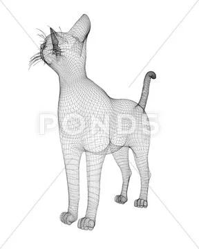 Cat, body structure , wire model, on background Illustration #45324932
