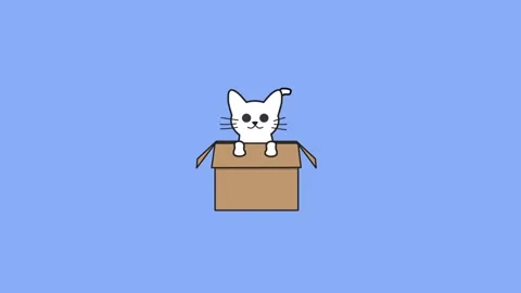 A cat in a box Stock Footage 155180380