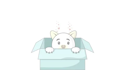 Cat in box 動画素材 170512707