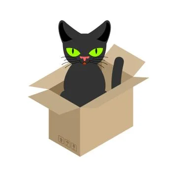 Cat in box isolated. Pet in cardboard box. vector illustration Stock Illustration