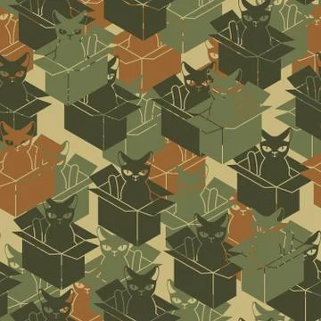 Cat in box military pattern. Pet in cardboard box army background. vector war Illustrazione stock