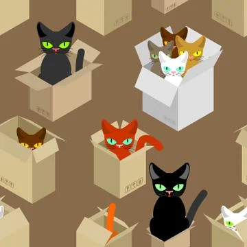 Cat in box pattern. Pet in cardboard box background. vector texture Illustrazione stock